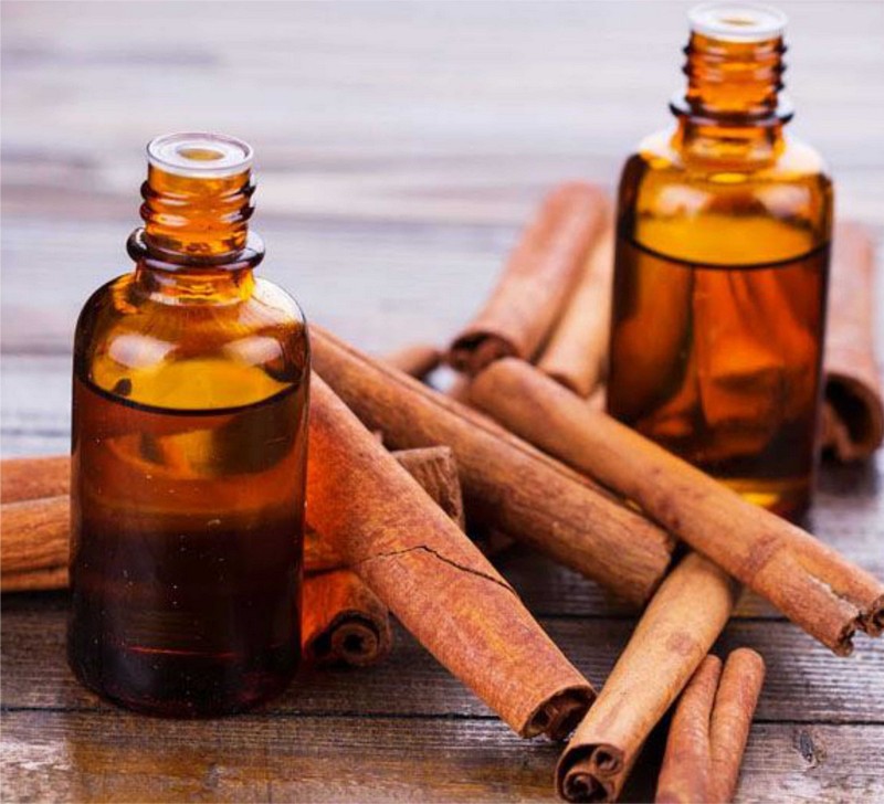 Tạp chí Du lịch Wanderlust Tips Những loại tinh dầu giúp đuổi muỗi và côn trùng khi đi du lịch