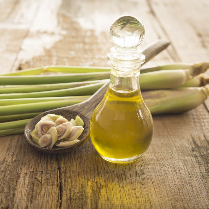 Tạp chí Du lịch Wanderlust Tips Những loại tinh dầu giúp đuổi muỗi và côn trùng khi đi du lịch