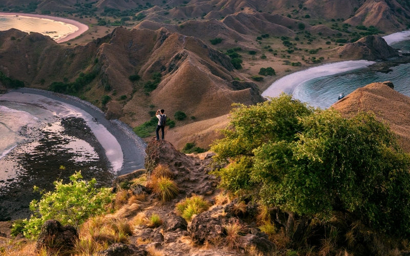 Đảo rồng Komodo chính thức đóng cửa từ đầu năm 2020 5 Tạp chí Du lịch Wanderlust Tips | Đảo rồng Komodo chính thức đóng cửa từ đầu năm 2020