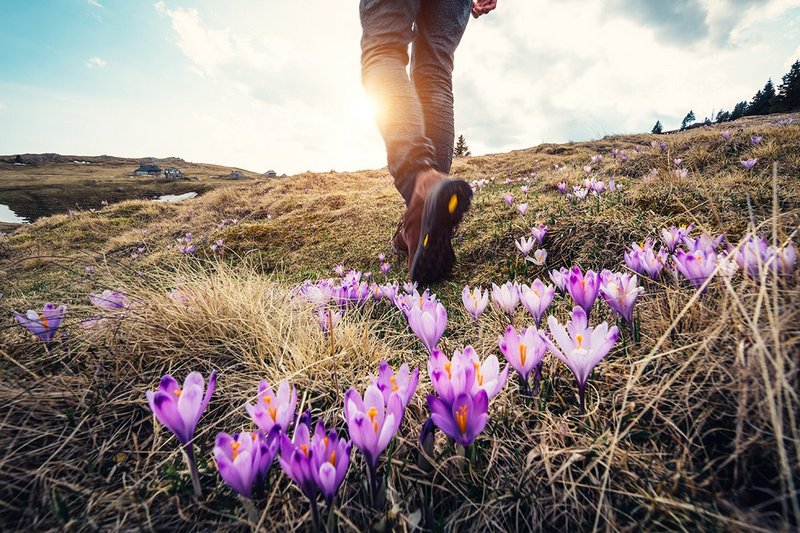 Nếu bỏ lỡ những điều này trong chuyến du lịch bạn sẽ hối tiếc cả đời 7 wanderlust tips neu bo lo nhung dieu nay trong chuyen du lich ban se hoi tiec ca doi 6