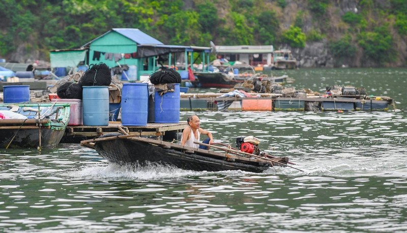 Tạp chí Du lịch Wanderlust Tips |Những trải nghiệm nên thử khi đến vịnh Lan Hạ, Hải Phòng