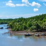 Tạp chí Du lịch Wanderlust Tips | Du lịch Cần Giờ: Về với miền bình yên xanh thẳm