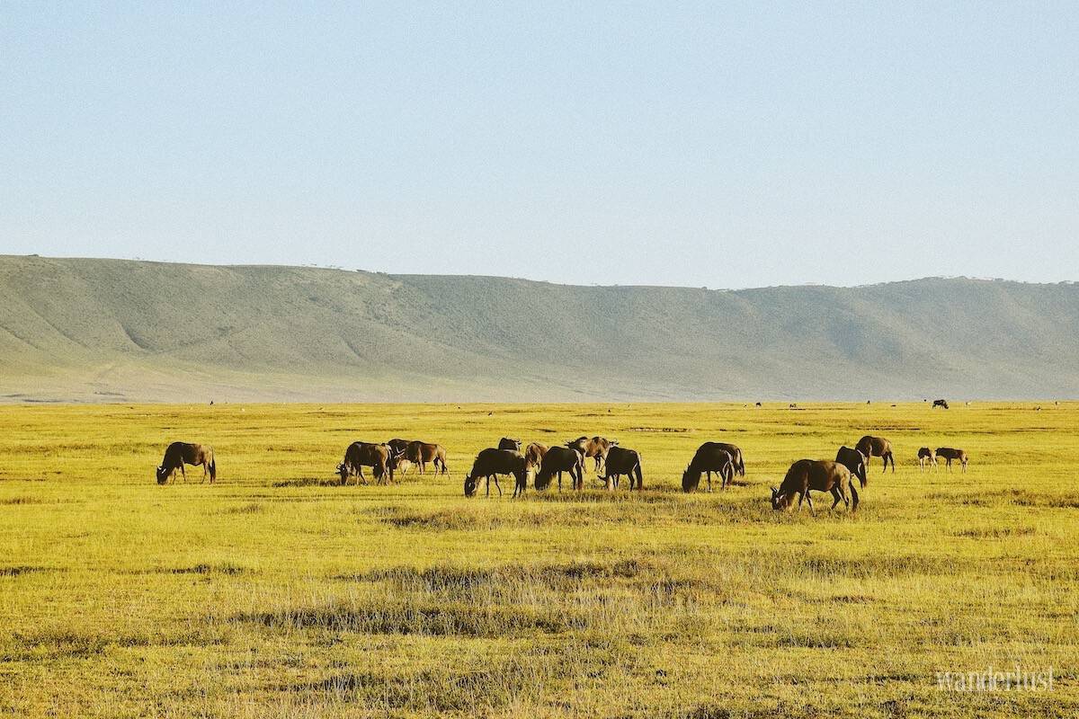 Kenya: Những điều tôi thực sự thấy 6 Tạp chí Du lịch Wanderlust Tips Kenya: Những điều tôi thực sự thấy - khám phá