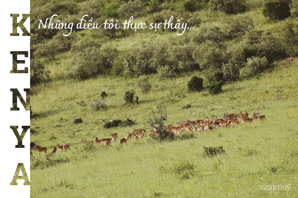 Kenya: Những điều tôi thực sự thấy 5 Wanderlust Tips Kenya nhung dieu toi thuc su thay 34
