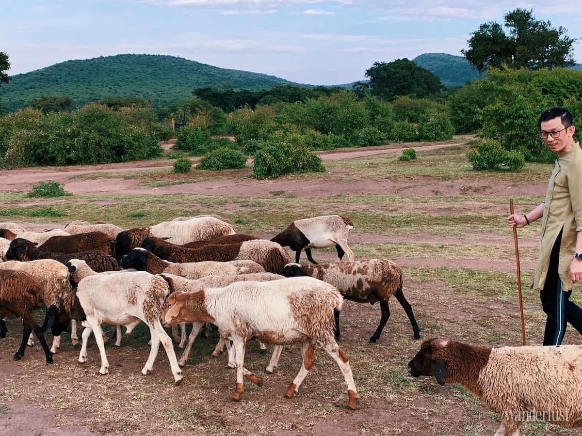 Kenya: Những điều tôi thực sự thấy 16 Tạp chí Du lịch Wanderlust Tips Kenya: Những điều tôi thực sự thấy - khám phá