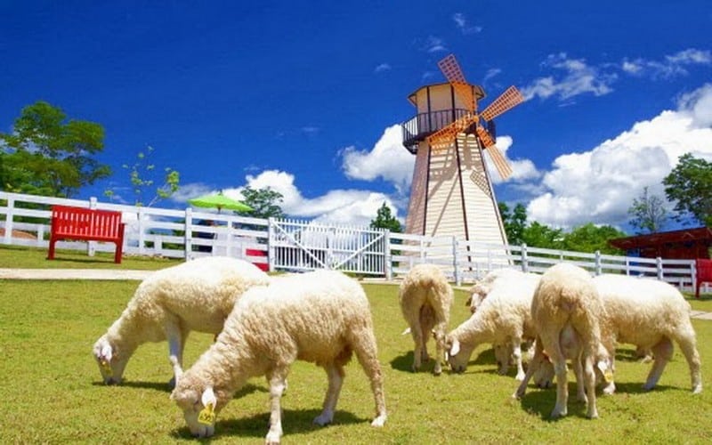 Bỏ túi những kinh nghiệm du lịch Hua Hin, Thái Lan 17 Wanderlust Tips bo tui nhung kinh nghiem du lich hua hin 09