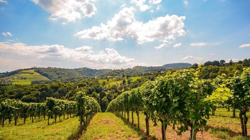 Bỏ túi những kinh nghiệm du lịch Hua Hin, Thái Lan 16 Tạp chí Du lịch Wanderlust Tips Bỏ túi những kinh nghiệm du lịch Hua Hin, Thái Lan