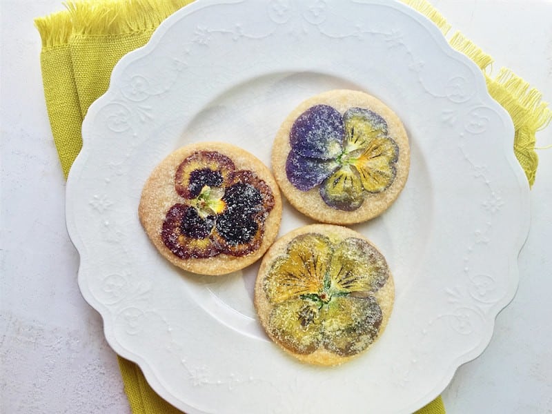 Wanderlust Tips cham den su tinh te trong tung canh hoa 05