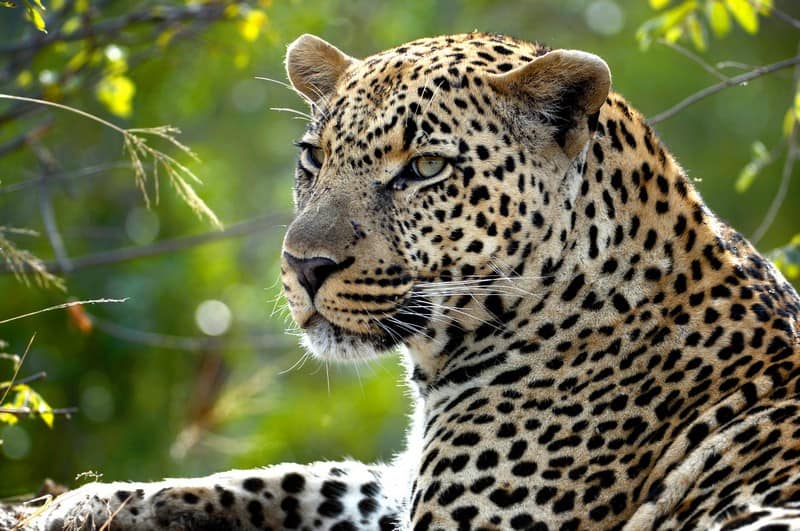 Châu Phi và những trải nghiệm không thể bỏ qua (Phần 2) 9 Tạp chí Du lịch Wanderlust Tips Châu Phi và những trải nghiệm không thể bỏ qua (Phần 2)