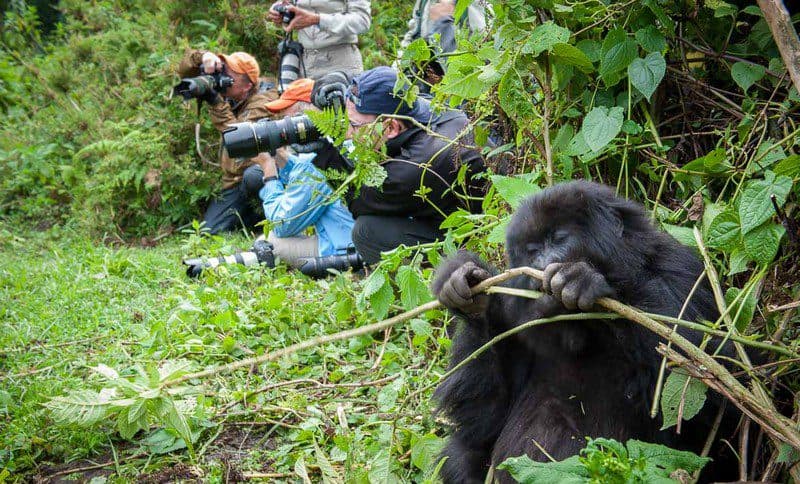 Châu Phi và những trải nghiệm không thể bỏ qua (Phần 2) 8 Tạp chí Du lịch Wanderlust Tips Châu Phi và những trải nghiệm không thể bỏ qua (Phần 2)