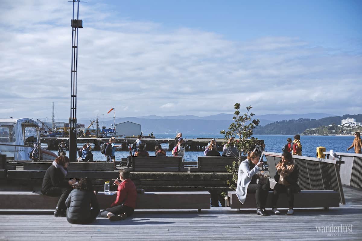 Wanderlust Tips dao choi Wellington long gio 04