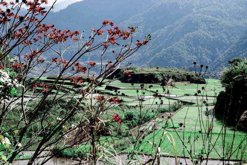 Tạp chí Du lịch Wanderlust Tips Bỏ túi những kinh nghiệm du lịch Sagada, Philippines