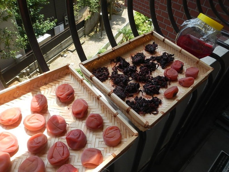 Mơ muối Umeboshi: Nét chấm phá mới lạ trong gam màu ẩm thực Nhật Bản 6 Wanderlust Tips mo muoi Umeboshi net cham pha doc dao trong gam mau am thuc nhat 04