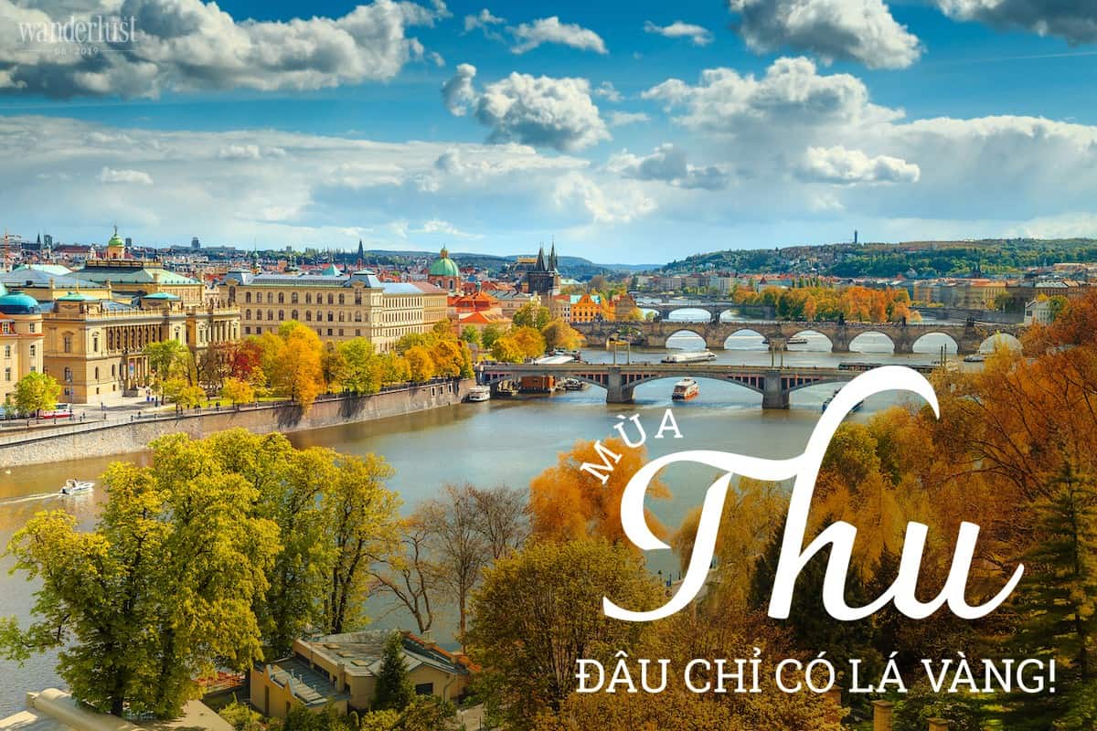 Tạp chí Du lịch Wanderlust Tips Mùa thu đâu chỉ có lá vàng!