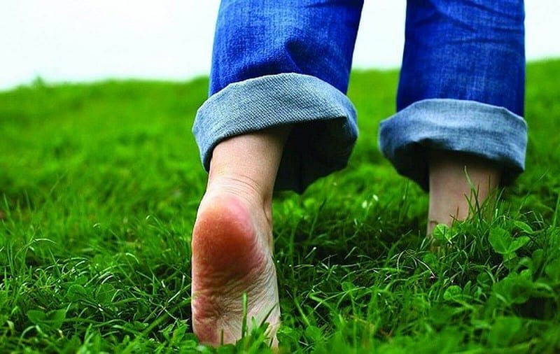 Tạp chí Du lịch Wanderlust Tips Những nét văn hóa ở New Zealand có thể bạn chưa biết