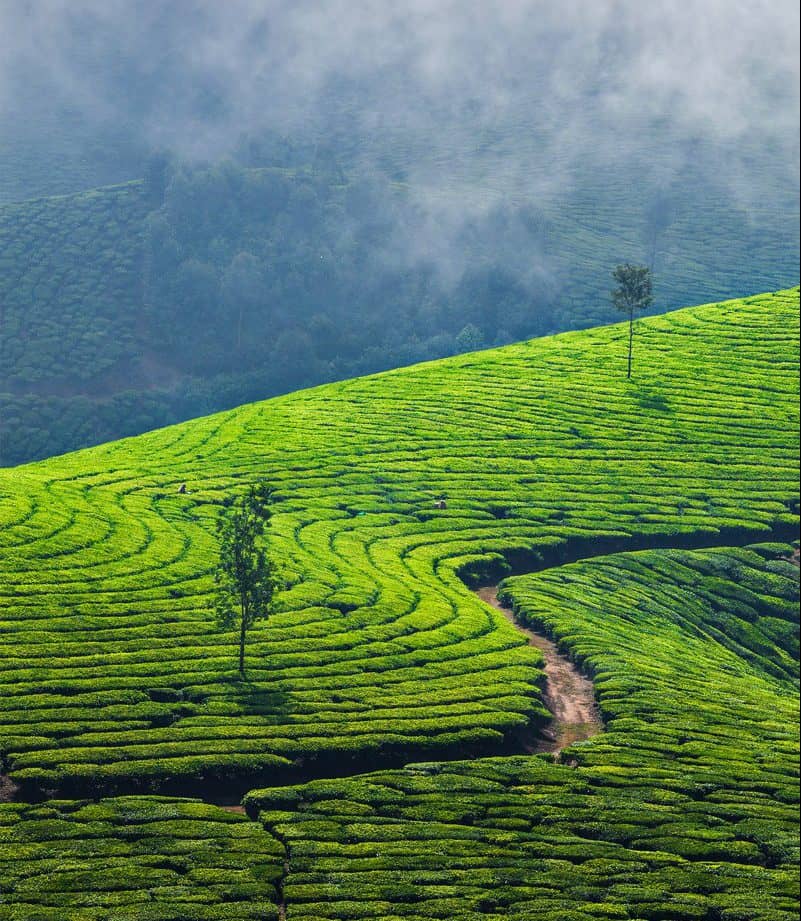 Tạp chí Du lịch Wanderlust Tips Trải nghiệm Ấn Độ vào mùa mưa tại các địa điểm thú vị