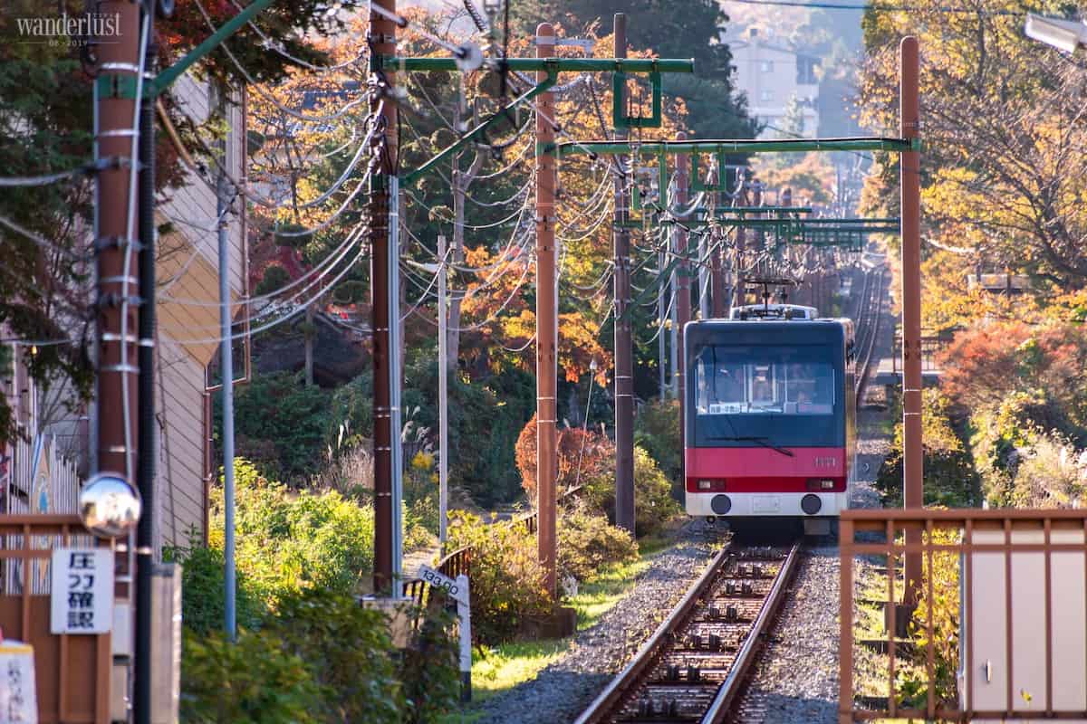 Từ Tokyo đi tìm những mùa thu nằm trên postcard 6 Tạp chí Du lịch Wanderlust Tips Từ Tokyo đến Hakone và Nikko, đi tìm những mùa thu nằm trên postcard