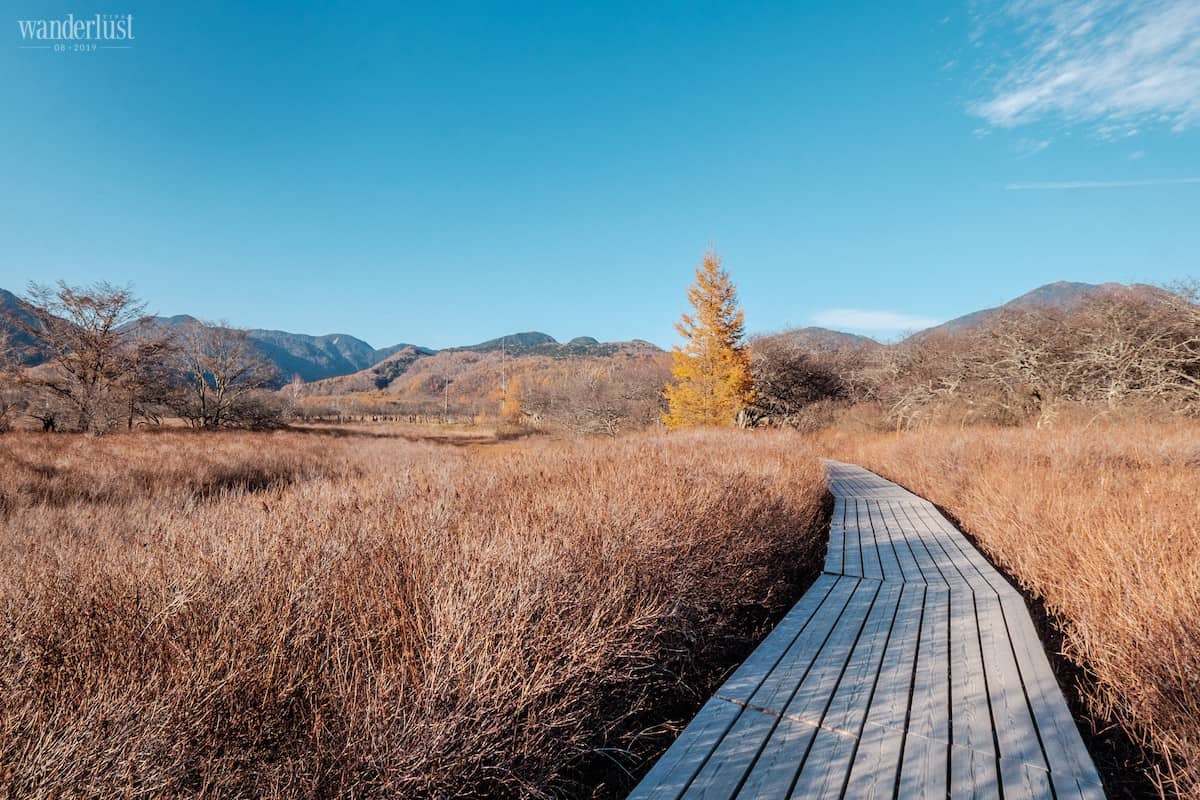 Từ Tokyo đi tìm những mùa thu nằm trên postcard 11 Tạp chí Du lịch Wanderlust Tips Từ Tokyo đến Hakone và Nikko, đi tìm những mùa thu nằm trên postcard