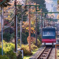 Wanderlust Tips tu tokyo di tim nhung mua thu nam tren postcard 08