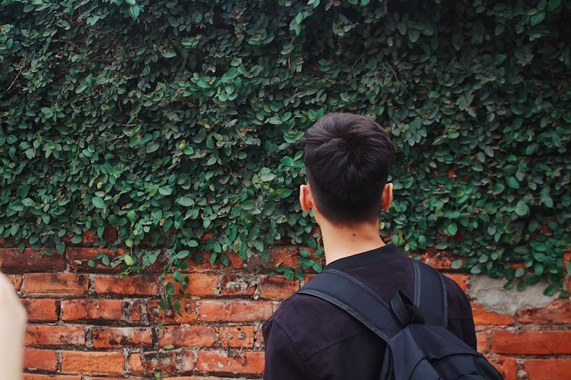 Chàng trai Hải Phòng kể về chuyến thăm làng cổ Đường Lâm 13 wanderlust tips chang trai hai phong ke ve chuyen ghe tham lang co duong lam 6