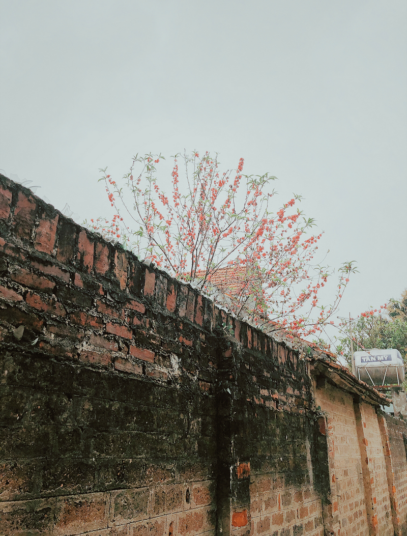 Chàng trai Hải Phòng kể về chuyến thăm làng cổ Đường Lâm 12 wanderlust tips chang trai hai phong ke ve chuyen ghe tham lang co duong lam 9