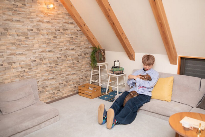 Tạp chí Du lịch Wanderlust Tips | Chết mê với quán cà phê heo tí hon tại Tokyo