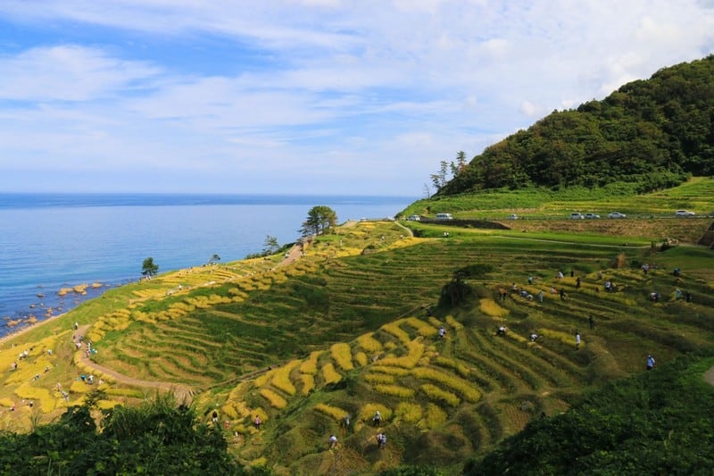 Ruộng bậc thang Shiroyone Senmaida đẹp lịm tim ở Nhật Bản 6 Tạp chí Du lịch Wanderlust Tips | Chiêm ngưỡng ruộng bậc thang Shiroyone Senmaida đẹp lịm tim ở Nhật Bản