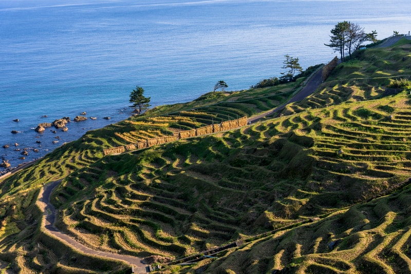 Ruộng bậc thang Shiroyone Senmaida đẹp lịm tim ở Nhật Bản 7 Tạp chí Du lịch Wanderlust Tips | Chiêm ngưỡng ruộng bậc thang Shiroyone Senmaida đẹp lịm tim ở Nhật Bản