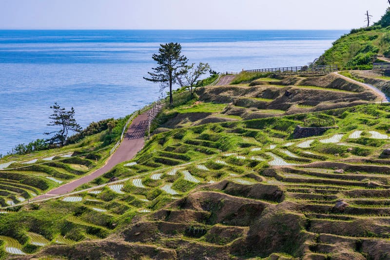 Ruộng bậc thang Shiroyone Senmaida đẹp lịm tim ở Nhật Bản 5 Tạp chí Du lịch Wanderlust Tips | Chiêm ngưỡng ruộng bậc thang Shiroyone Senmaida đẹp lịm tim ở Nhật Bản