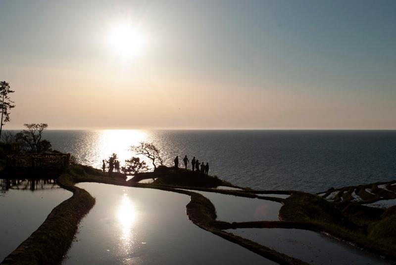 Ruộng bậc thang Shiroyone Senmaida đẹp lịm tim ở Nhật Bản 10 wanderlust tips chiem nguong ruong bac thang shiroyone senmaida dep lim tim o nhat ban 6