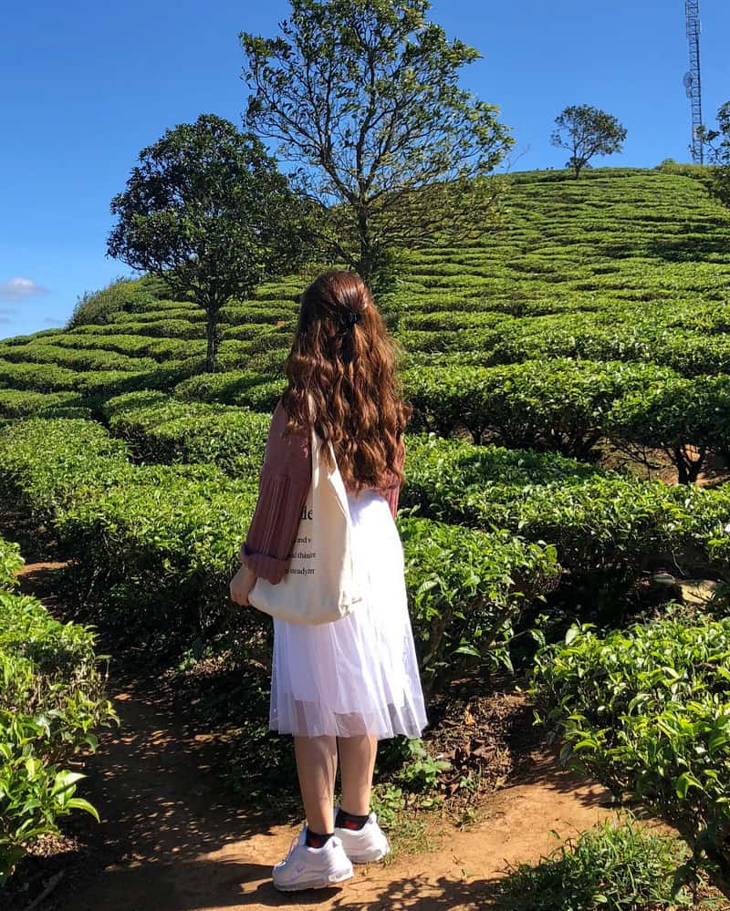 Đến Phú Thọ check-in ngay đồi chè Long Cốc đẹp mê mẩn 7 Tạp chí Du lịch Wanderlust Tips | Đến Phú Thọ check-in ngay đồi chè Long Cốc đẹp mê mẩn