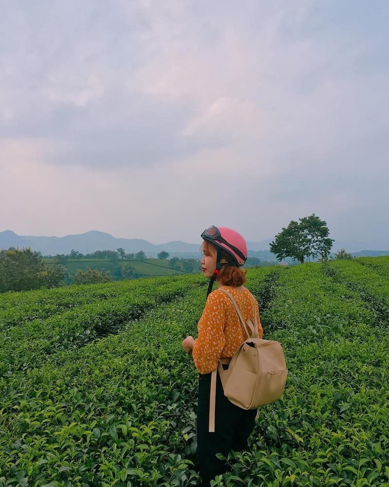 Đến Phú Thọ check-in ngay đồi chè Long Cốc đẹp mê mẩn 8 wanderlust tips den phu tho check in ngay doi che long son dep me man 8