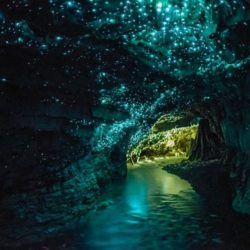 Tạp chí Du lịch Wanderlust Tips | Diệu kỳ xứ sở thần tiên tại hang Waitomo Glowworm