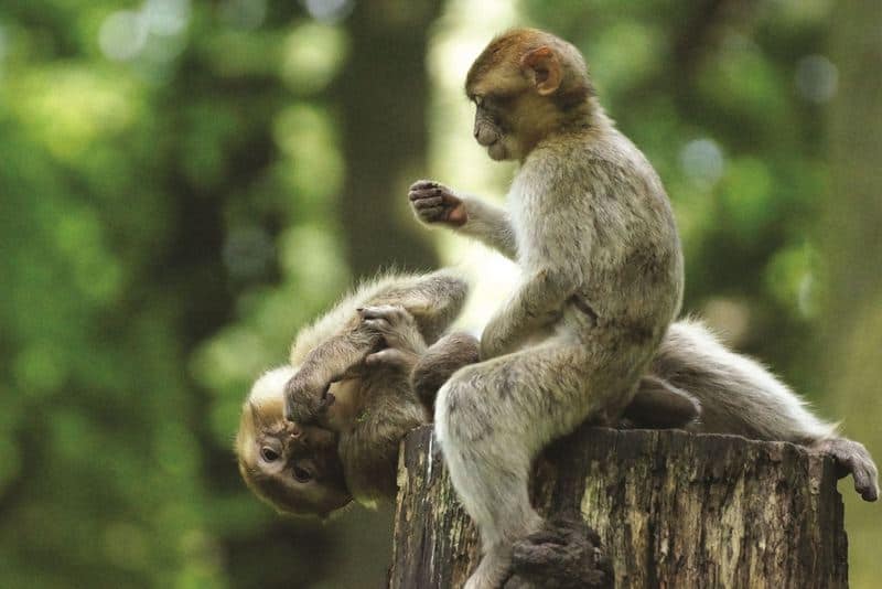 wanderlust tips du lich can gio ve voi mien dat binh yen 4