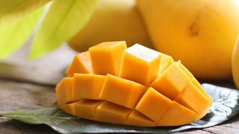 wanderlust tips du lich can gio ve voi mien dat binh yen 9