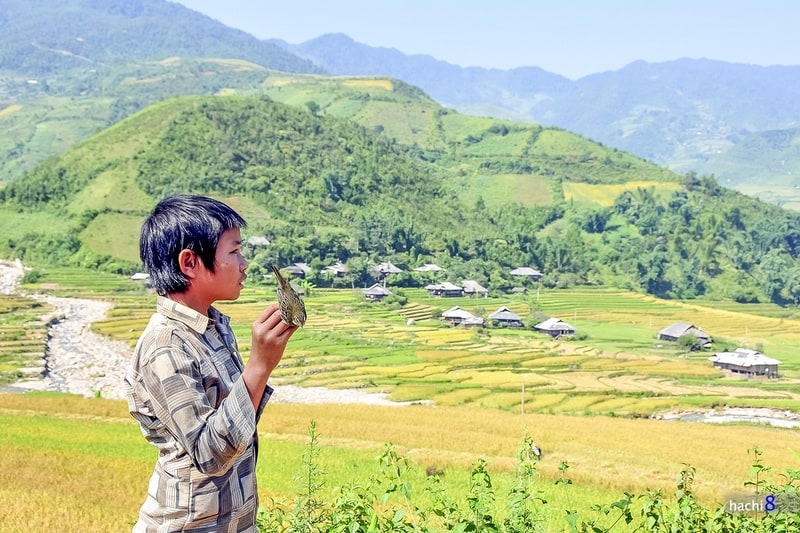 wanderlust tips giac mo tuoi thanh xuan hoa may troi mu cang chai 3