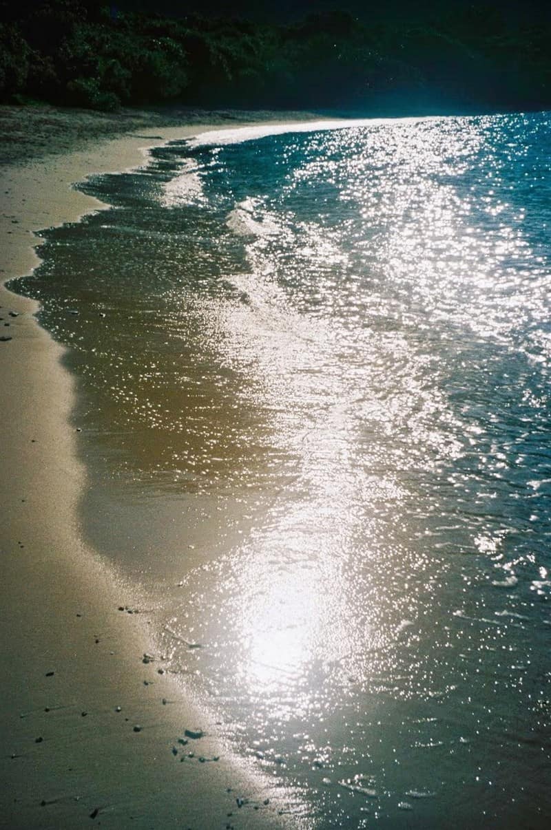 wanderlust tips hanh trinh bao ve loai rua bien con dao 12