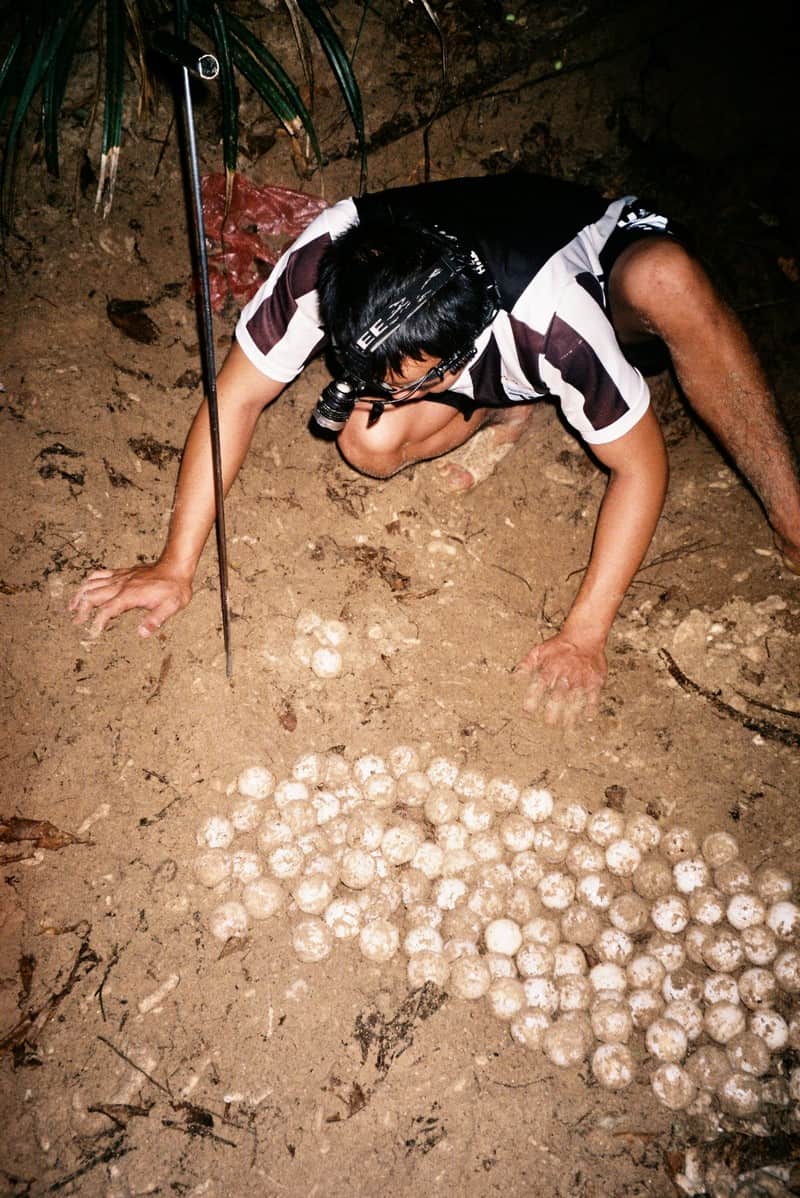 wanderlust tips hanh trinh bao ve loai rua bien con dao 6