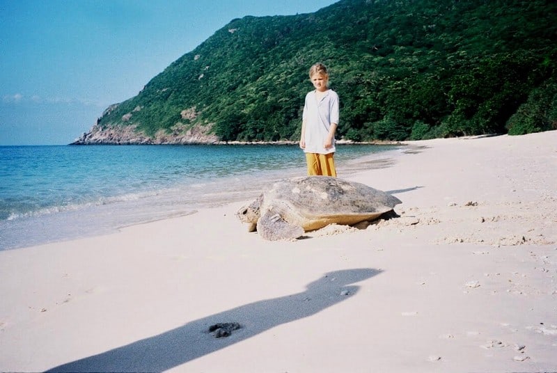 wanderlust tips hanh trinh bao ve loai rua bien con dao 8