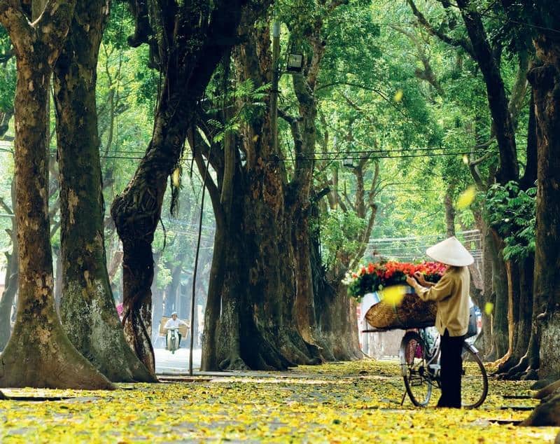 Lời ước hẹn với mùa thu Hà Nội 8 wanderlust tips hen nhau giua mua thu ha noi 1