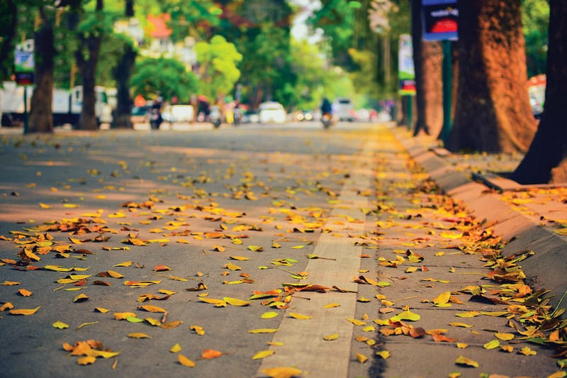 Lời ước hẹn với mùa thu Hà Nội 10 Tạp chí Du lịch Wanderlust Tips | Hẹn nhau giữa mùa thu Hà Nội
