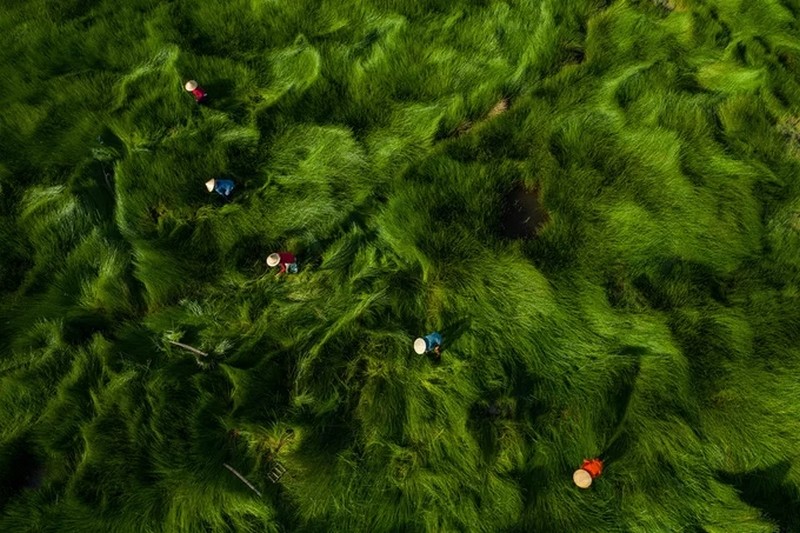 Tạp chí Du lịch Wanderlust Tips | Ngắm nhìn những bức ảnh đẹp trong cuộc thi "Việt Nam nhìn từ trên cao"