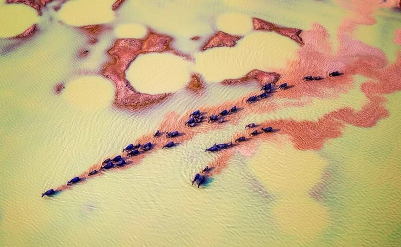 Tạp chí Du lịch Wanderlust Tips | Ngắm nhìn những bức ảnh đẹp trong cuộc thi "Việt Nam nhìn từ trên cao"