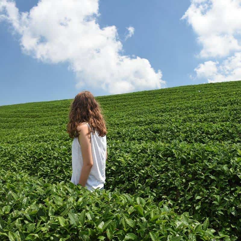 Tạp chí Du lịch Wanderlust Tips | Nhớ về Mộc Châu thanh xuân năm ấy...