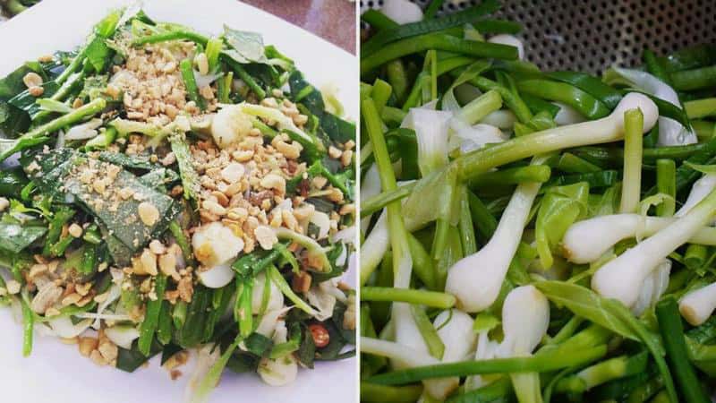 wanderlust tips nong nan goi toi ly son quang ngai 5 1