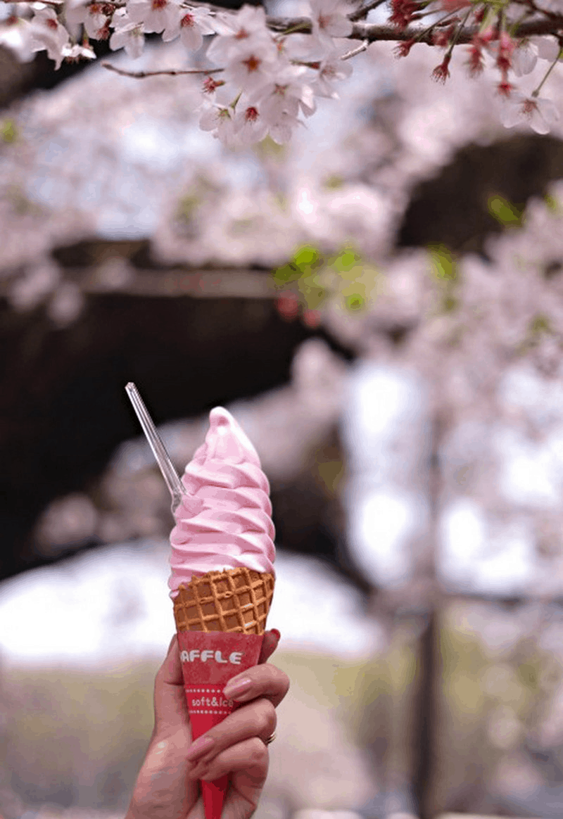 Điểm danh những món kem độc đáo tại Nhật Bản 5 Tạp chí Du lịch Wanderlust Tips | Phong phú với những món kem hấp dẫn tại Nhật BảnTạp chí Du lịch Wanderlust Tips | Phong phú với những món kem hấp dẫn tại Nhật Bản