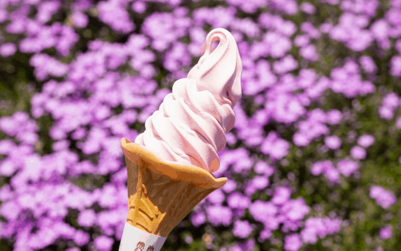 Tạp chí Du lịch Wanderlust Tips | Phong phú với những món kem hấp dẫn tại Nhật Bản