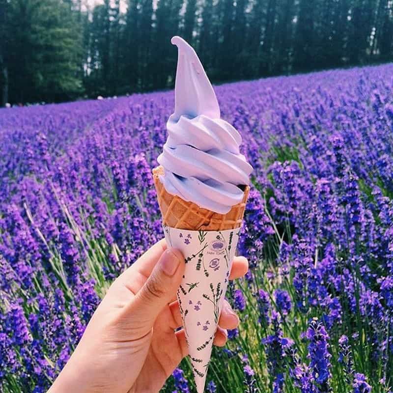 Điểm danh những món kem độc đáo tại Nhật Bản 6 Tạp chí Du lịch Wanderlust Tips | Phong phú với những món kem hấp dẫn tại Nhật Bản