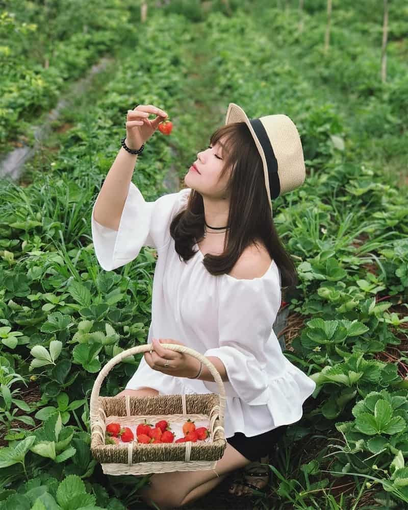 Rừng thông bản Áng đẹp thơ mộng giữa lòng Mộc Châu 9 Tạp chí Du lịch Wanderlust Tips | Rừng thông Bản Áng đẹp thơ mộng giữa lòng Mộc Châu