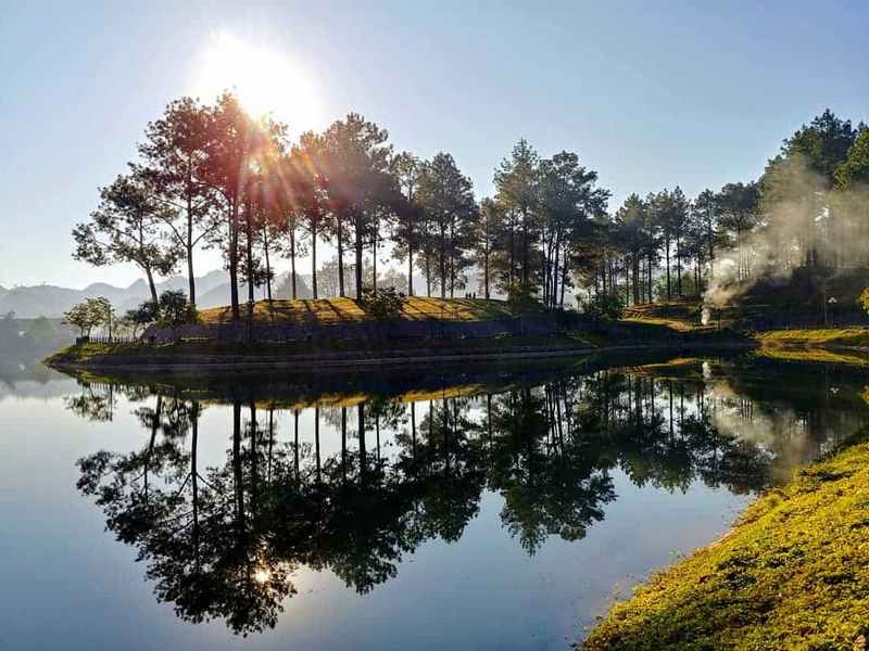 Rừng thông bản Áng đẹp thơ mộng giữa lòng Mộc Châu 6 wanderlust tips rung thong ban ang dep binh yen giua long moc chau 8